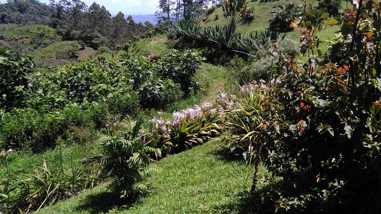 Finca Y Granja Loma Bonita Turrialba Exterior photo