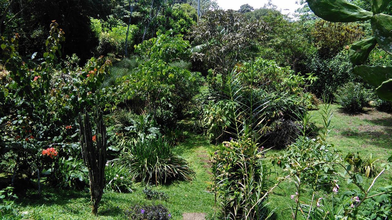 Finca Y Granja Loma Bonita Turrialba Exterior photo